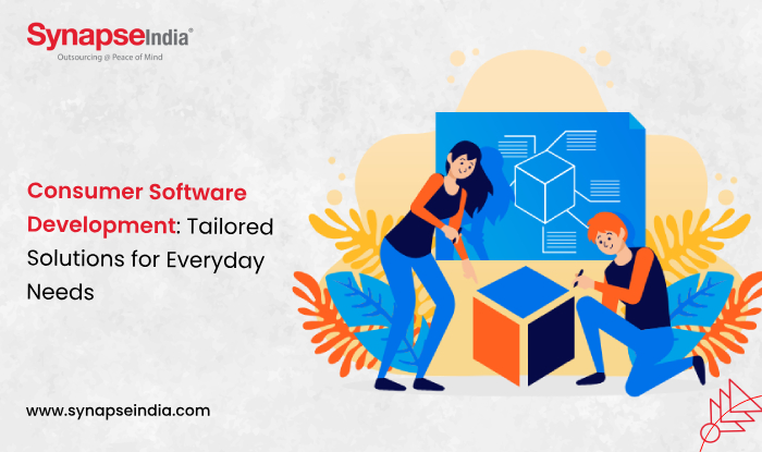 Consumer Software Development Tailored Solutions for Everyday Needs